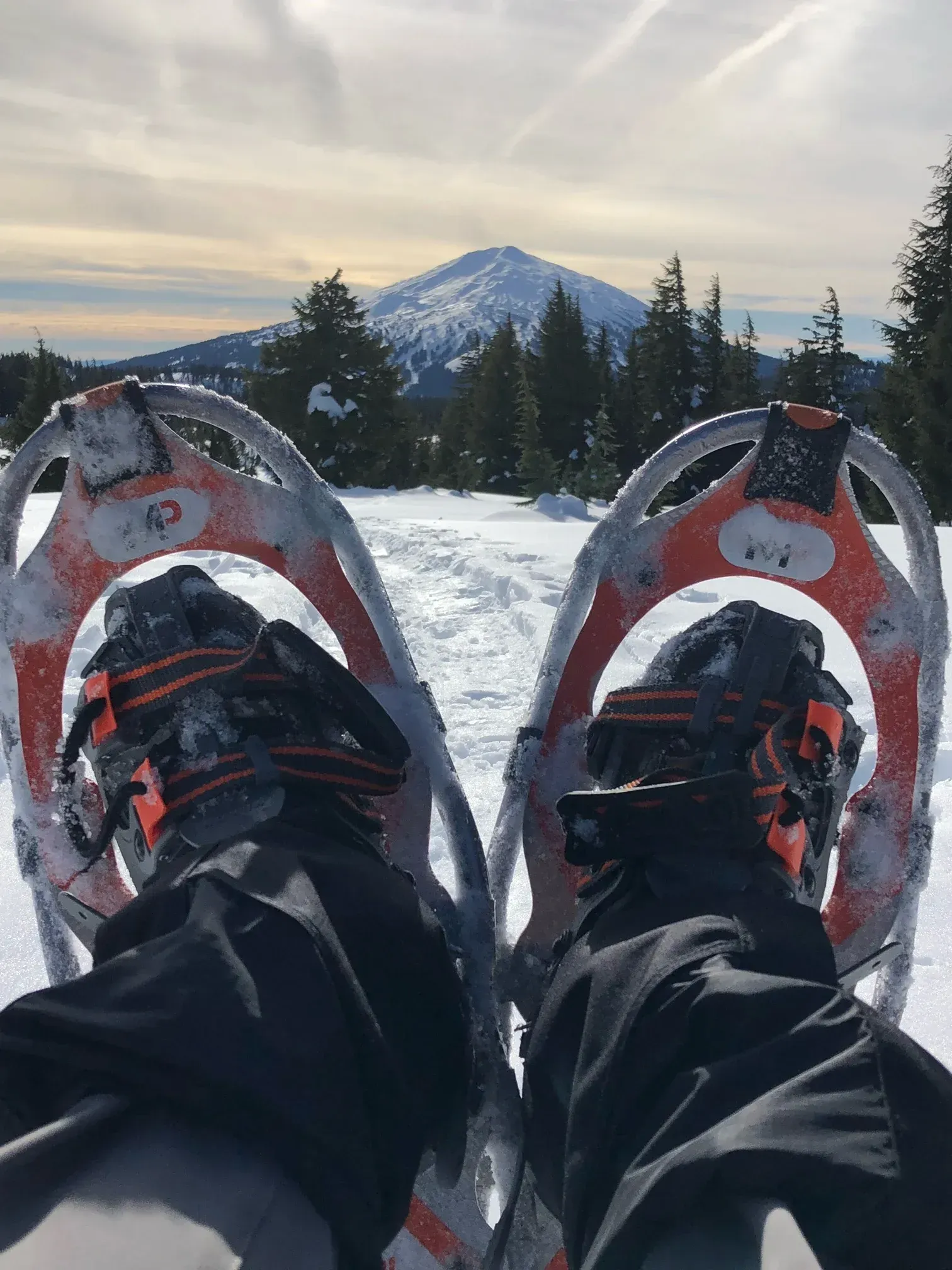 snow shoes