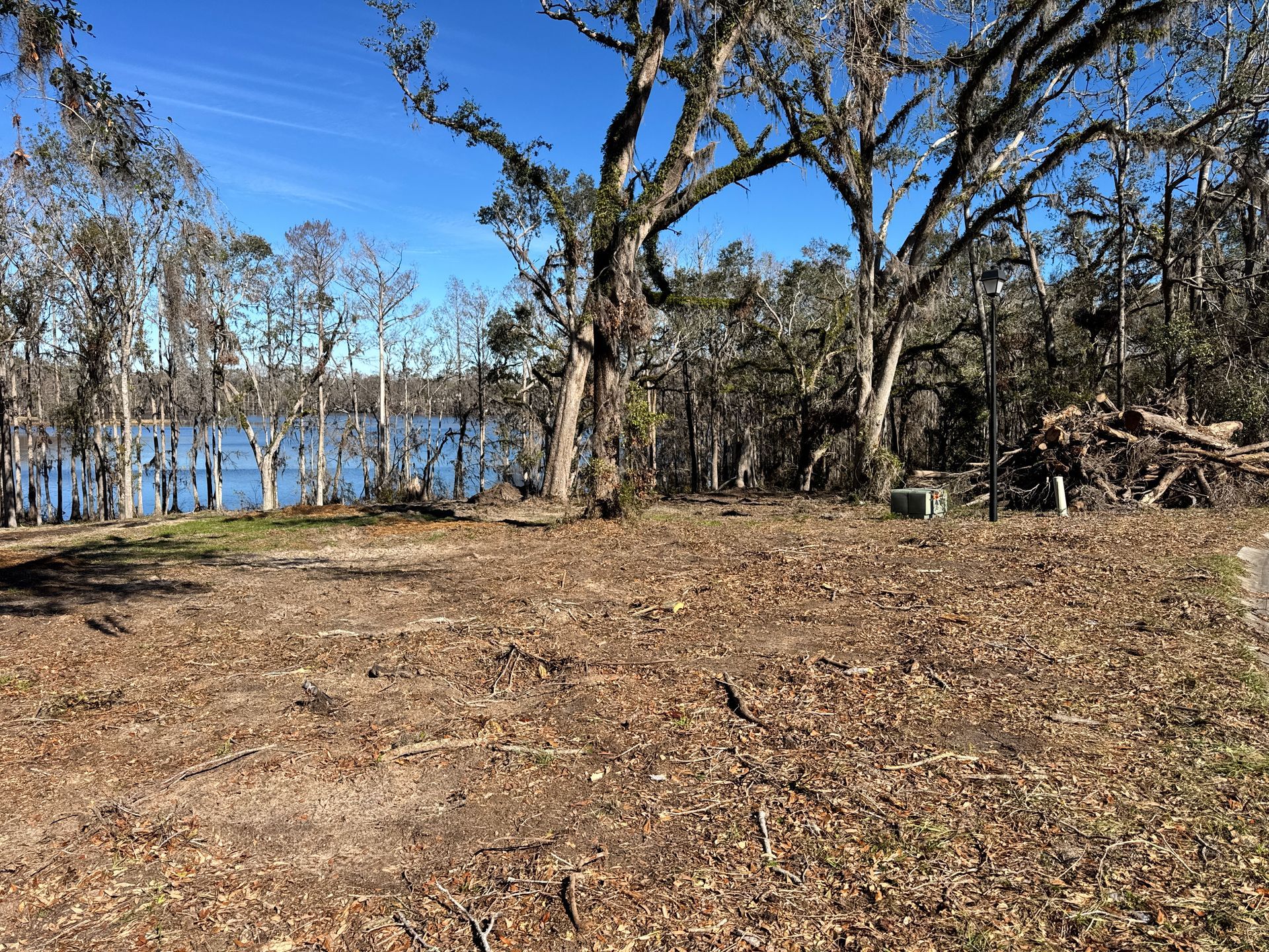 There is a large body of water in the background and trees in the foreground.