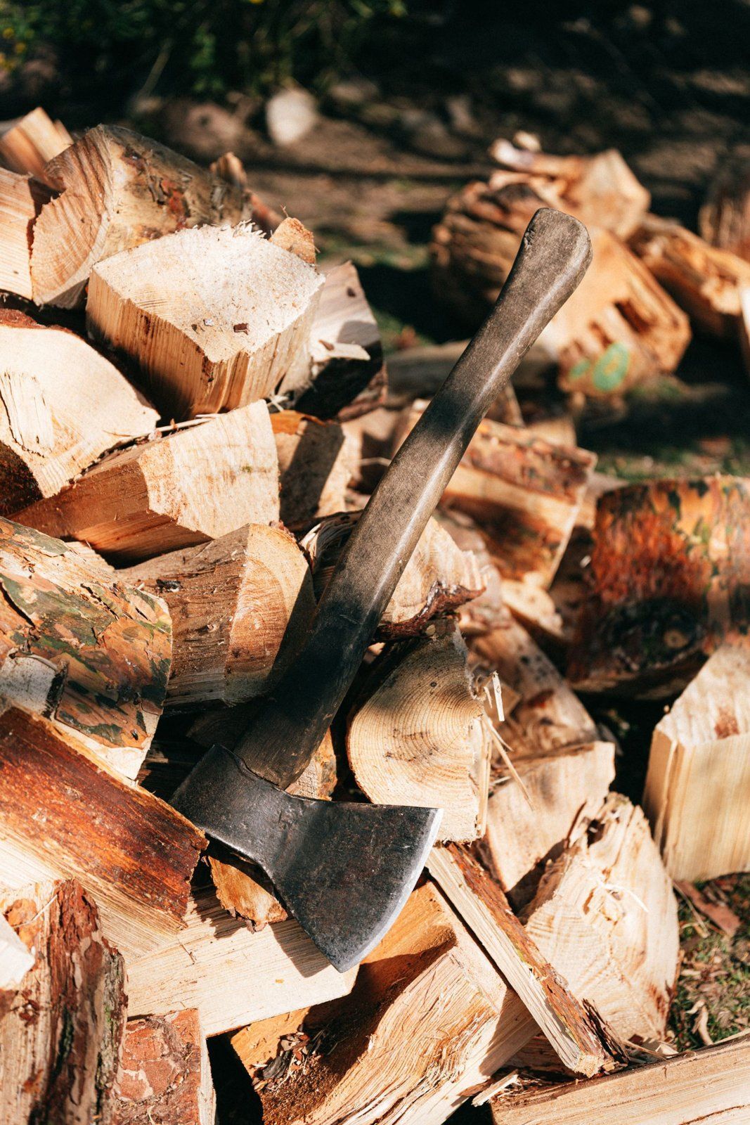 Axe resting on a pile of freshly split firewood in the sun