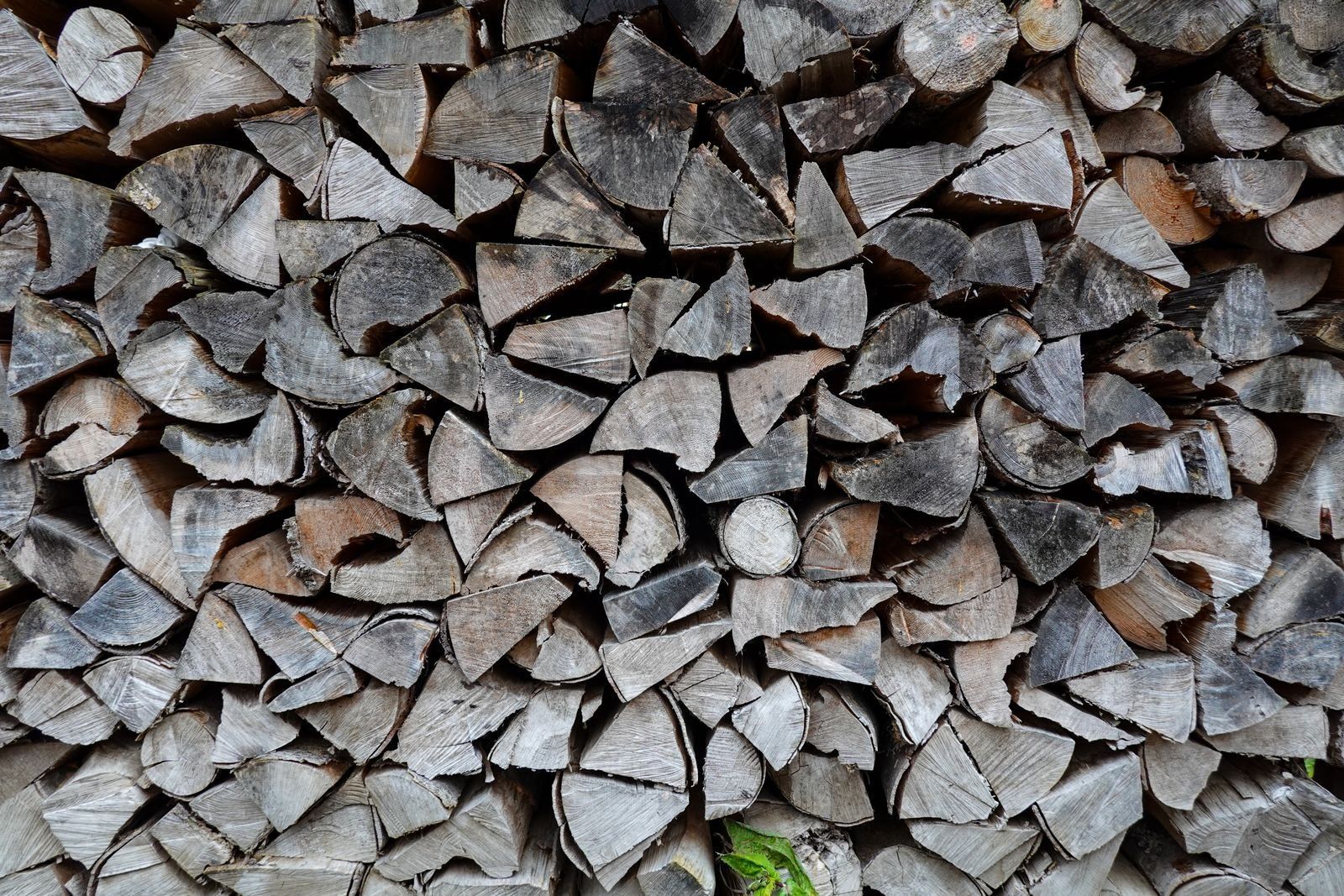 Seasoned firewood stack with gray ends