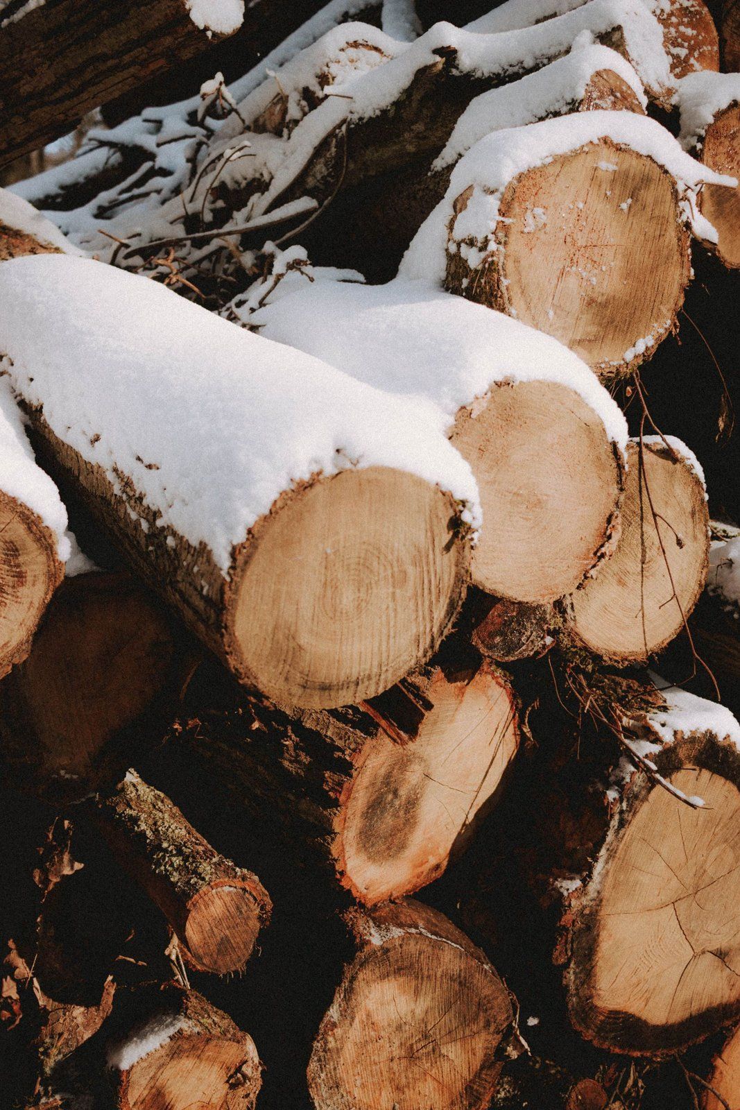 Firewood logs covered in fresh snow in winter
