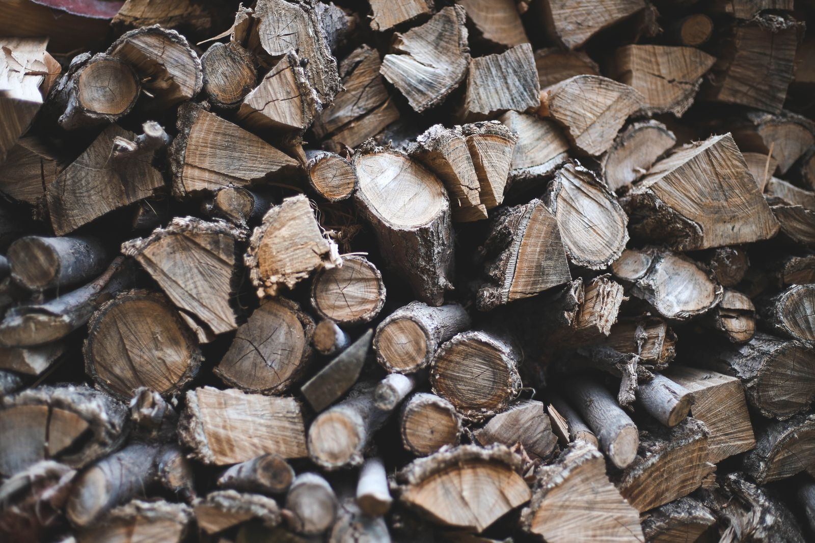 Weathered seasoned firewood end grain