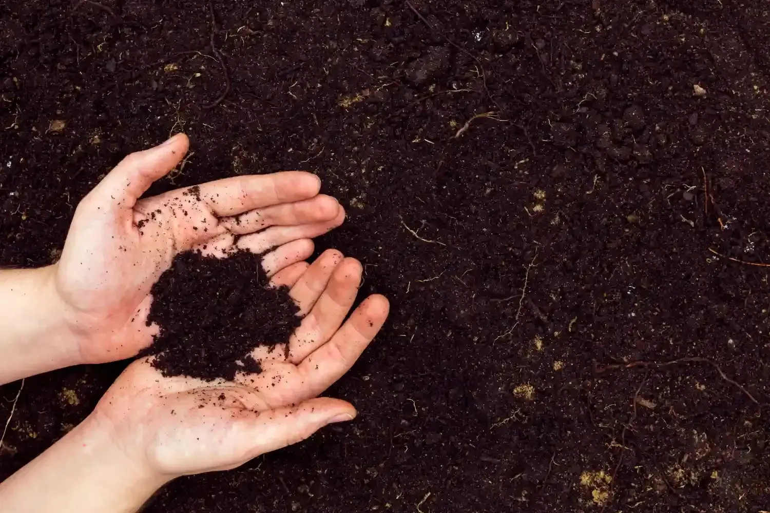 Close up of dark clay soil types in Texas known to expand and shift causing foundation problems