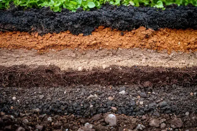 Cross section showing what is located beneath soil layers including clay sand and organic matter that impact Houston home foundation repair and structural integrity