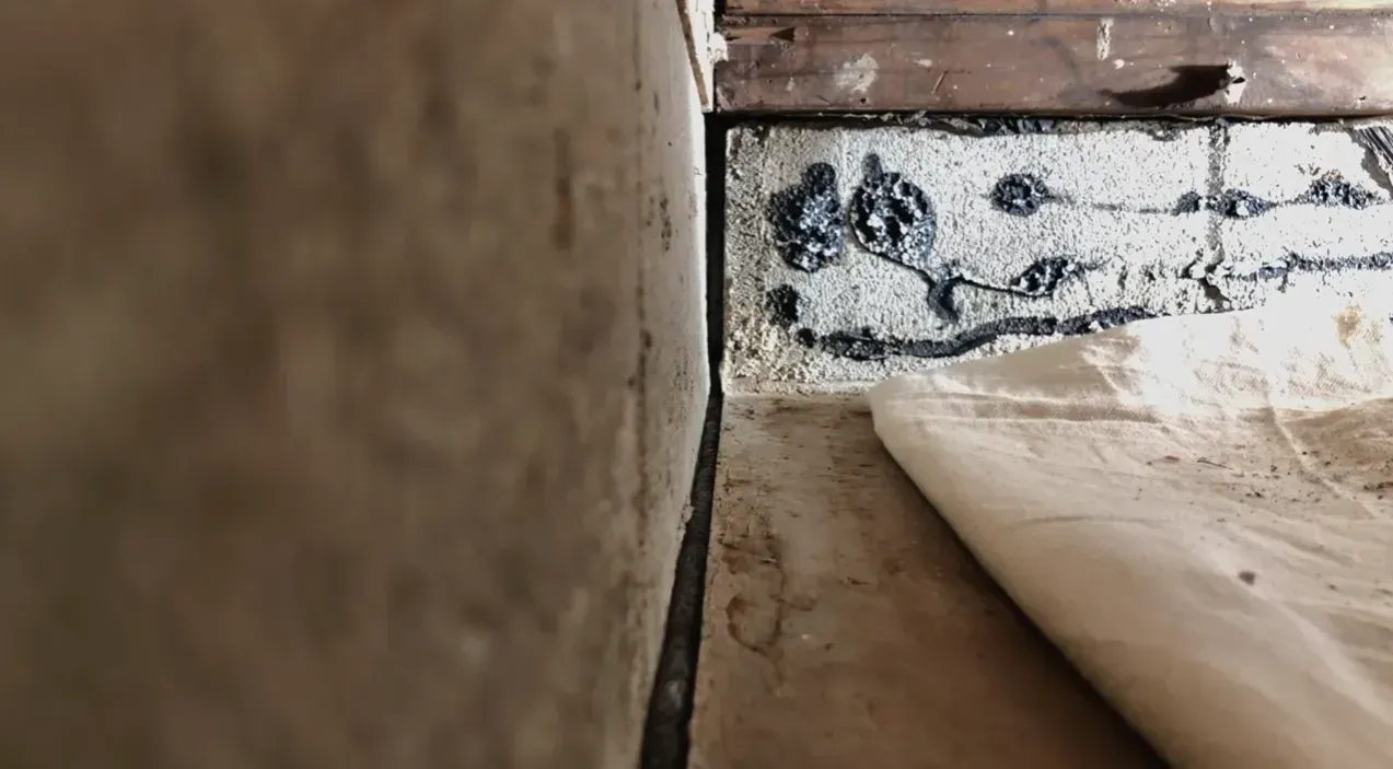 Damp basement corner showing mold growth where the foundation block meets the floor
