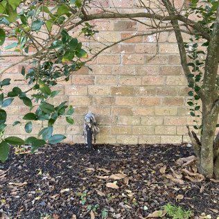 Cracked brick wall of home aligned after foundation repair
