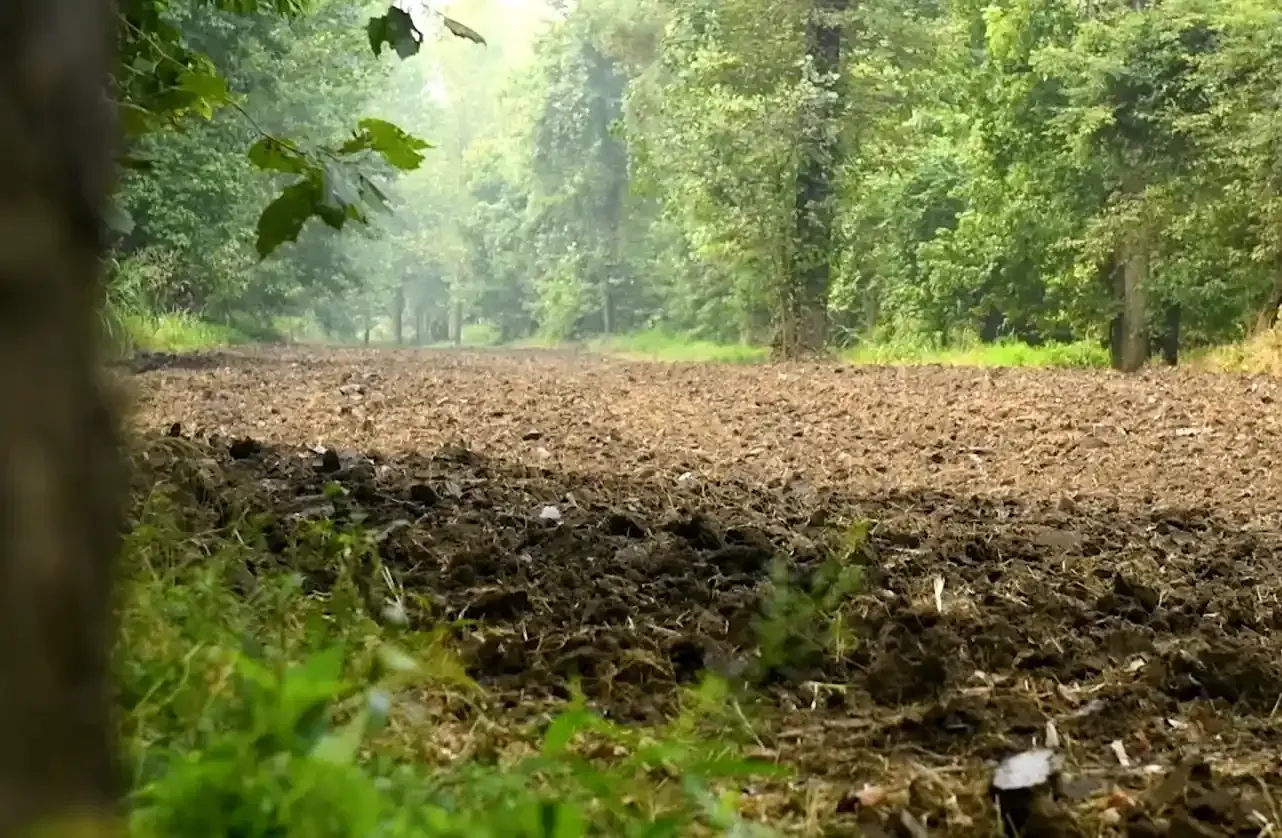 Freshly tilled silty land showing different types of soil in construction site preparation and grading