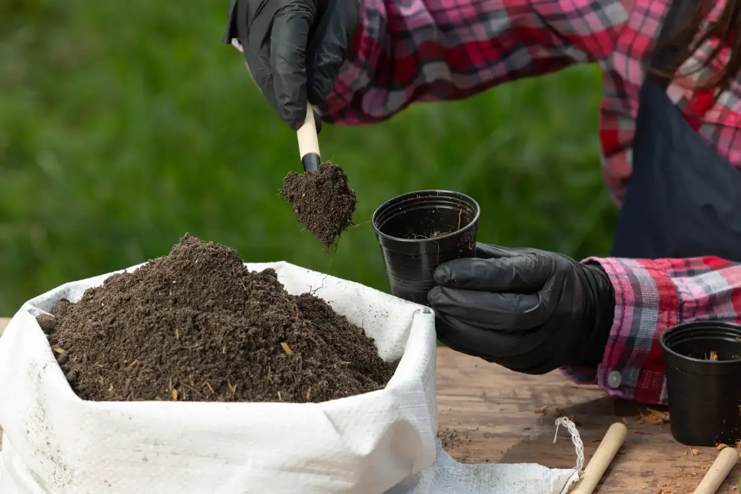Gardener scooping dark earth showing what is native soil used for landscaping near foundations