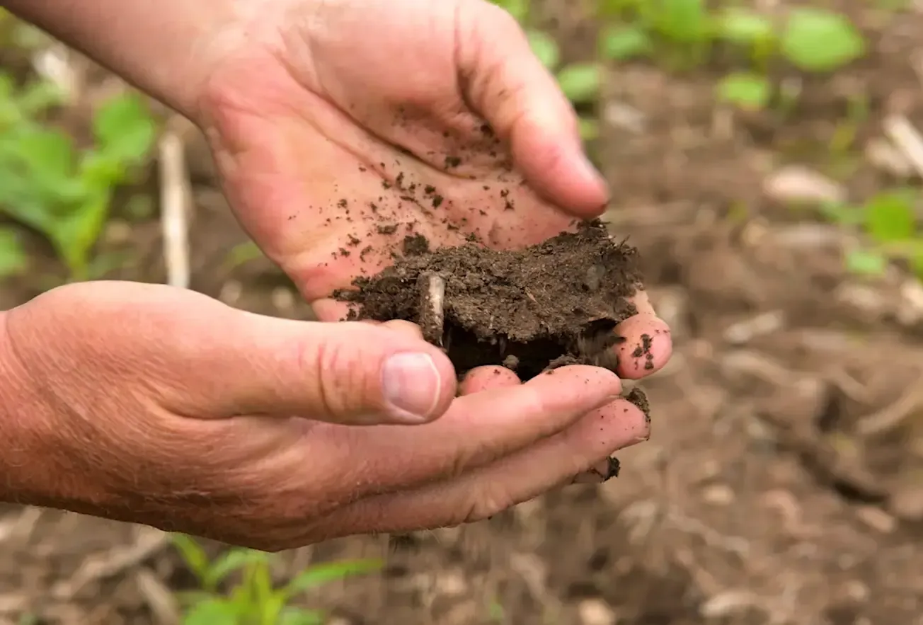 Hands holding moist clay rich earth representing expansive types of soil in construction that affect home foundations