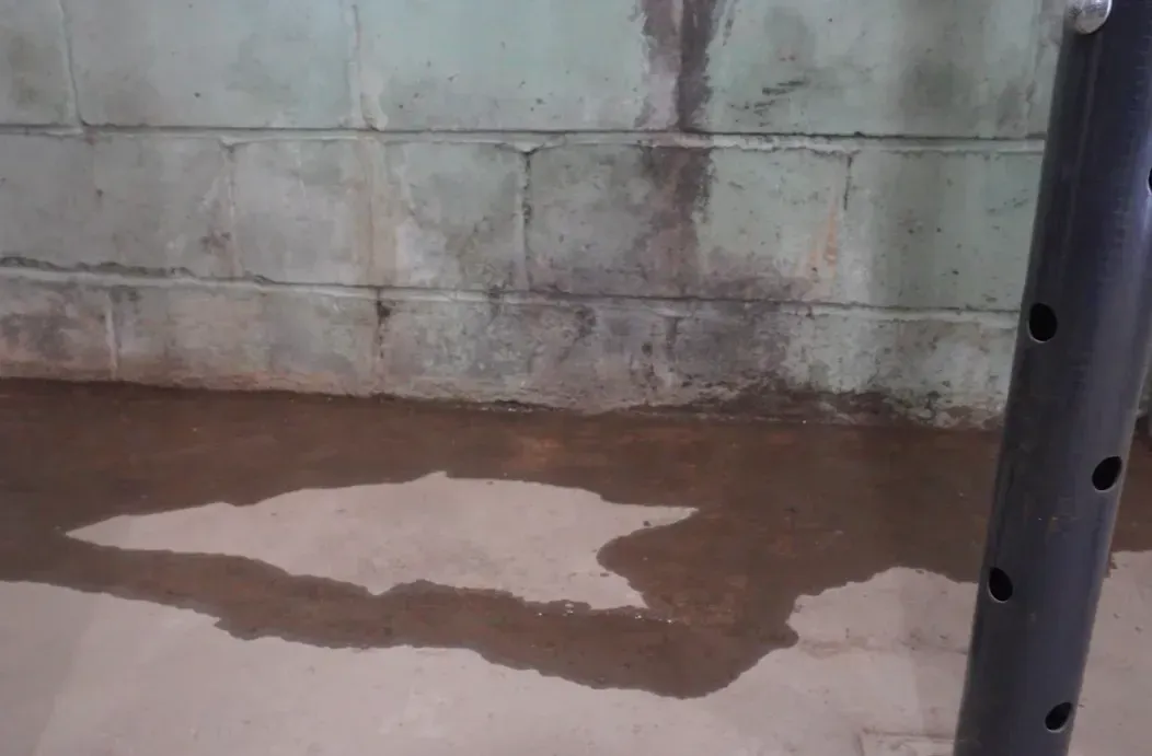 Water pooling on a basement floor along a foundation block wall from seepage