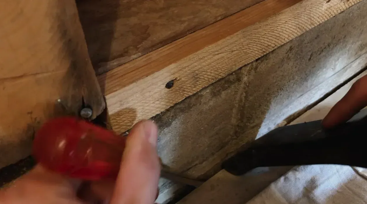 Worker applying sealant into a wood sill plate joint above the basement foundation wall
