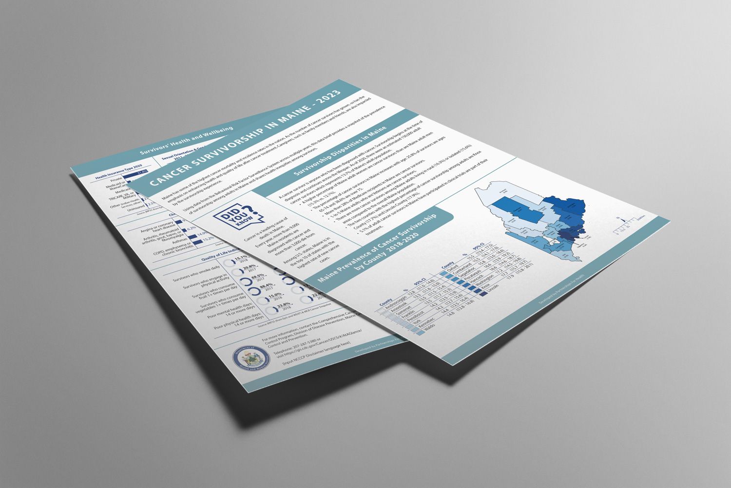 IBS Website