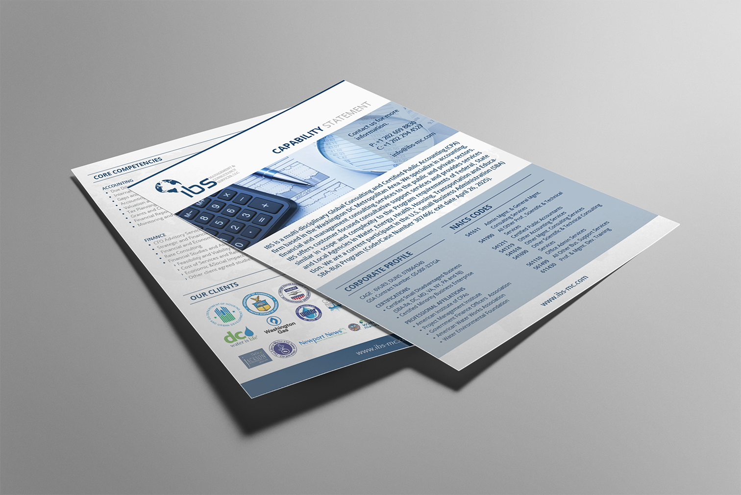 IBS flyer