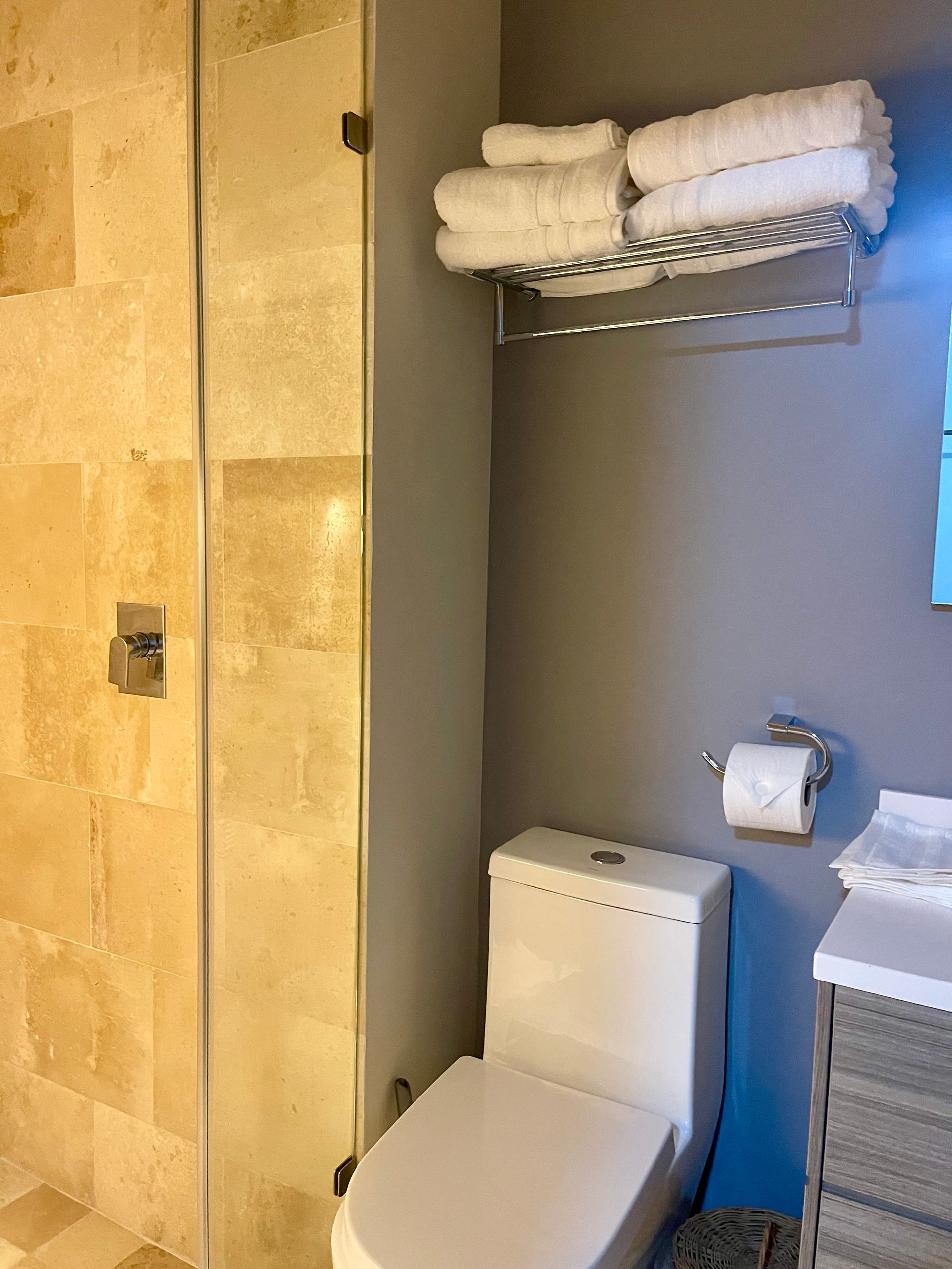 Baño con inodoro, ducha y toallero. Pared gris, azulejos neutros y grifería blanca.