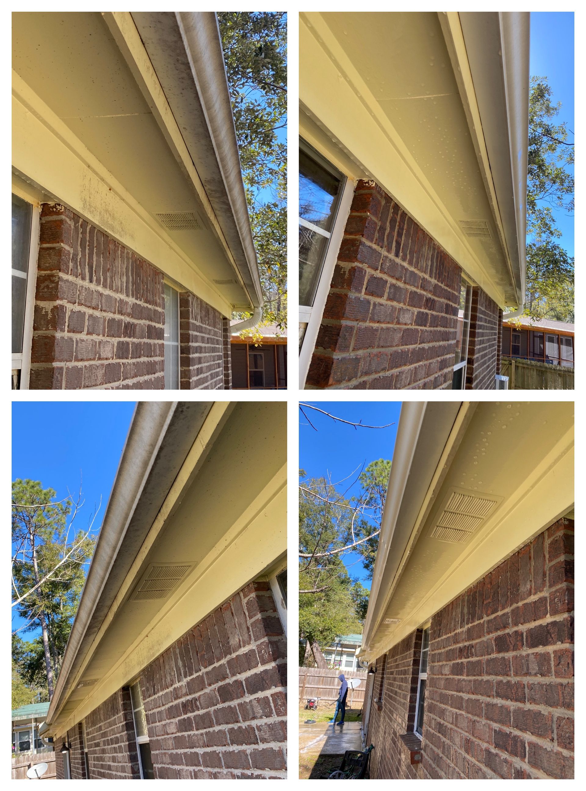 Lillian House Wash to remove algae and mildew