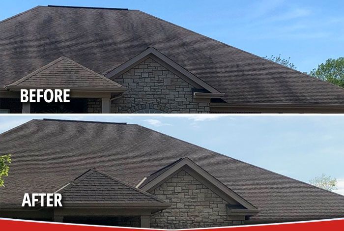 Magnolia Springs homeowner insurance cancelled for roof stains