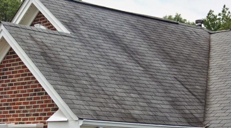 Gulf Shores home owner insurance cancelled for roof stains
