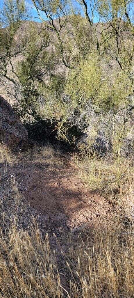 Arizona Mule Deer Hunt