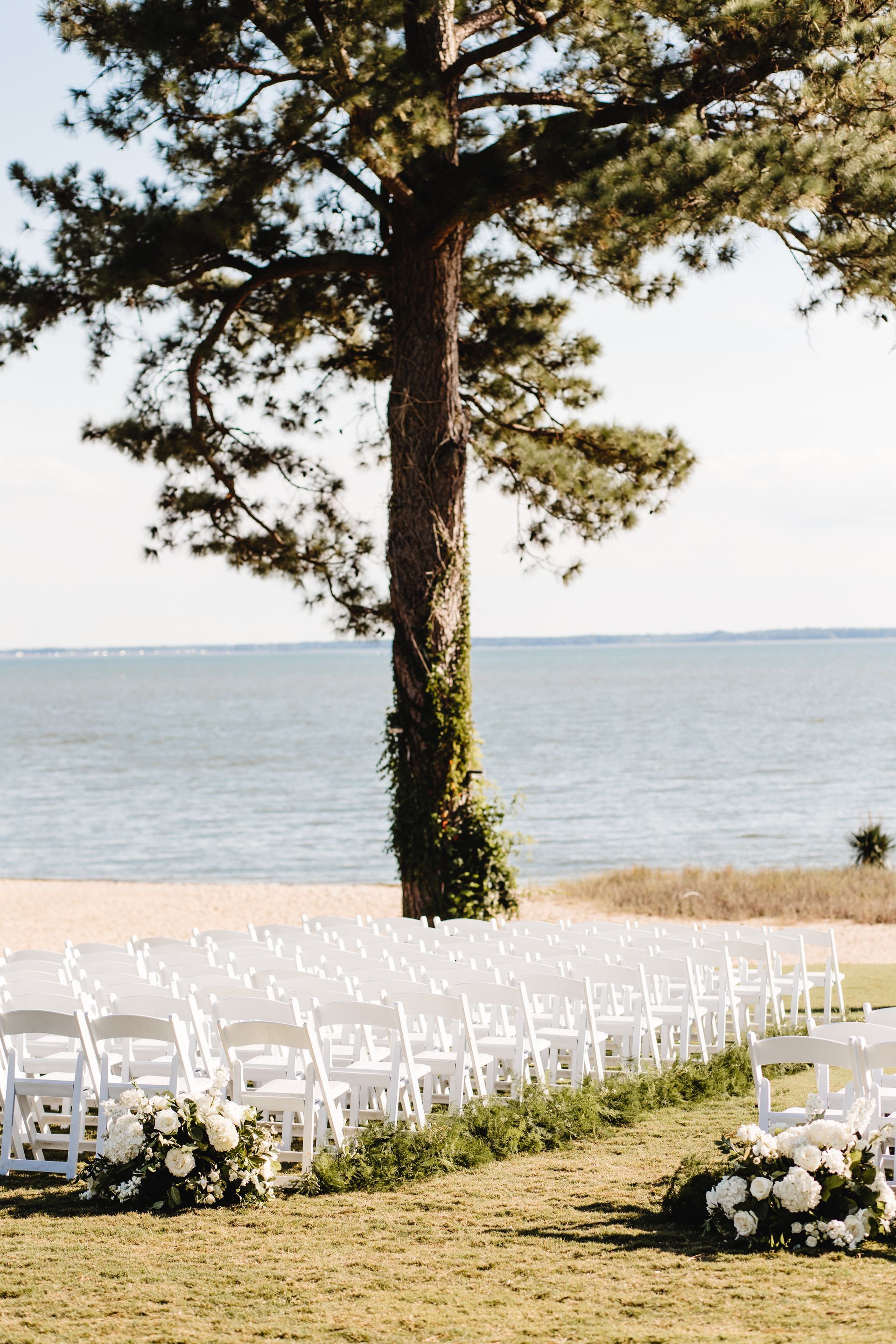 A row of white chairs are lined up in front of a tree overlooking the ocean.