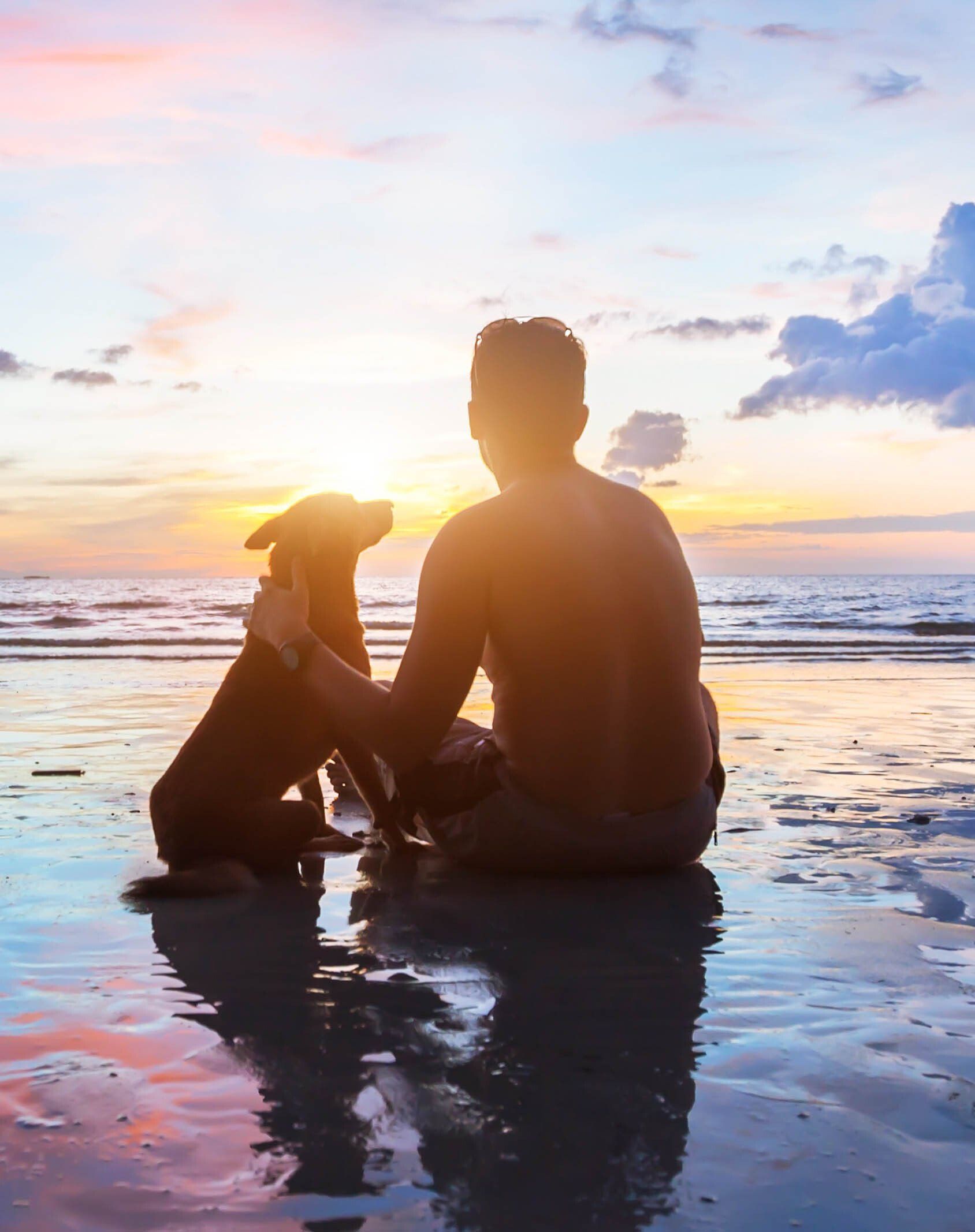 Pet Cremation Services