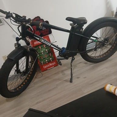Ruiser Electric Bike