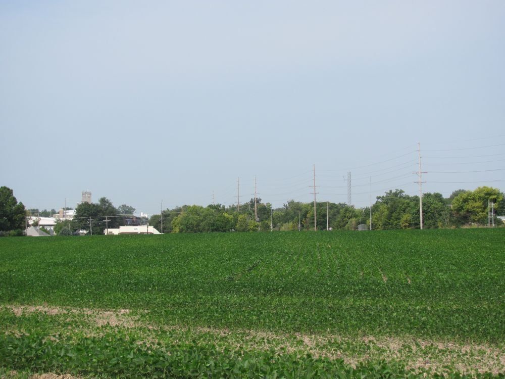 11 Acres, Poplar St