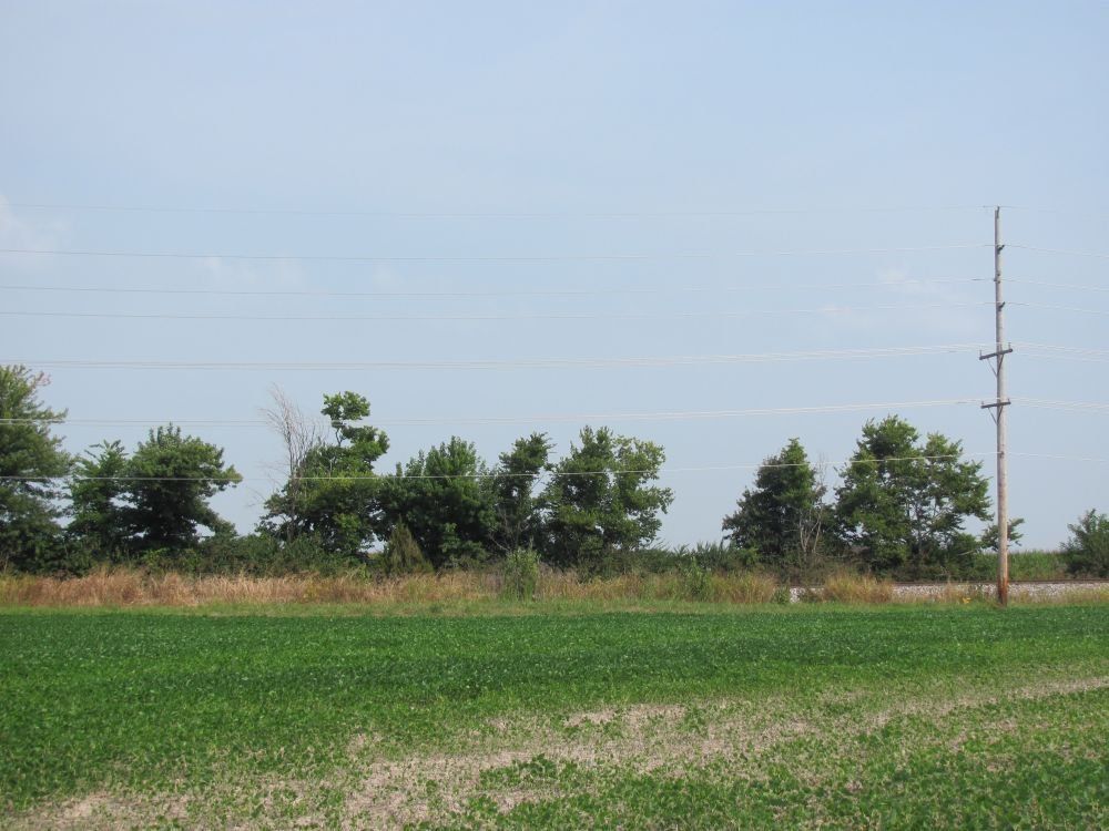 11 Acres, Poplar St