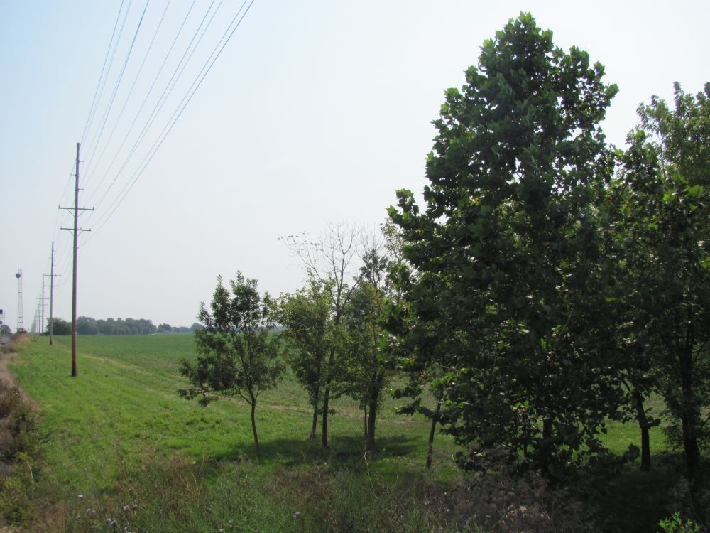 11 Acres, Poplar St