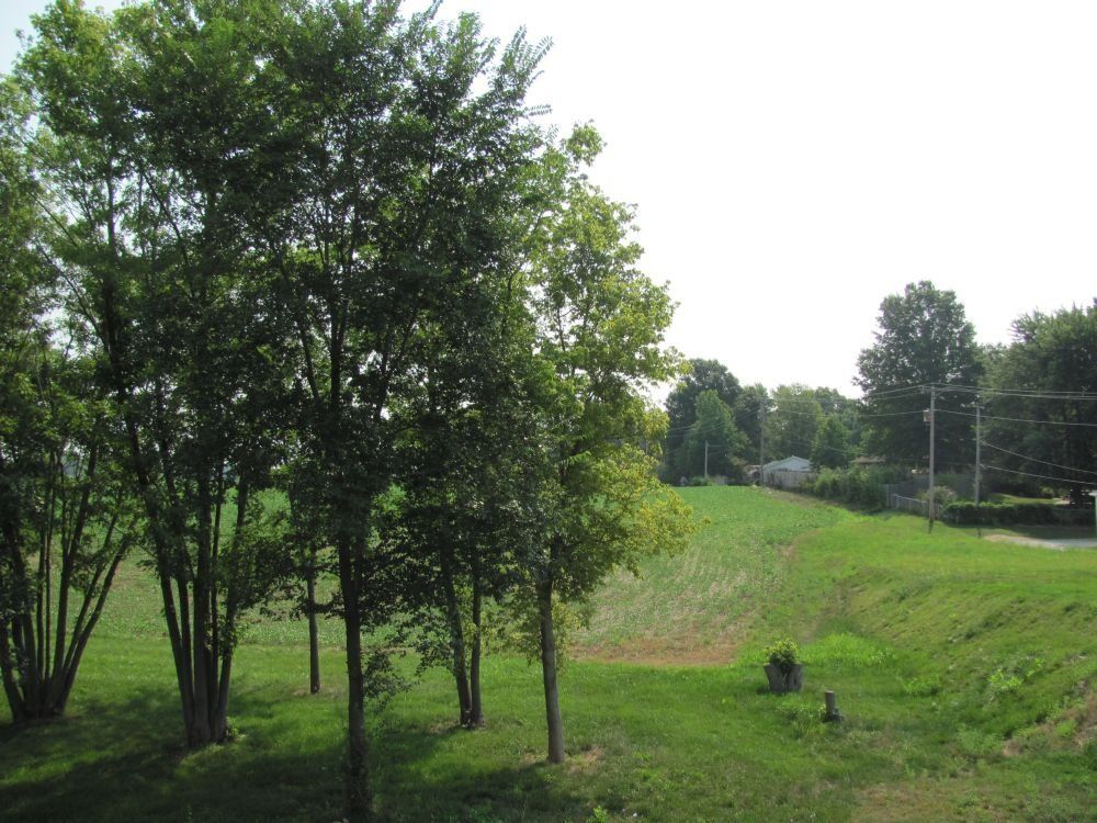 11 Acres, Poplar St