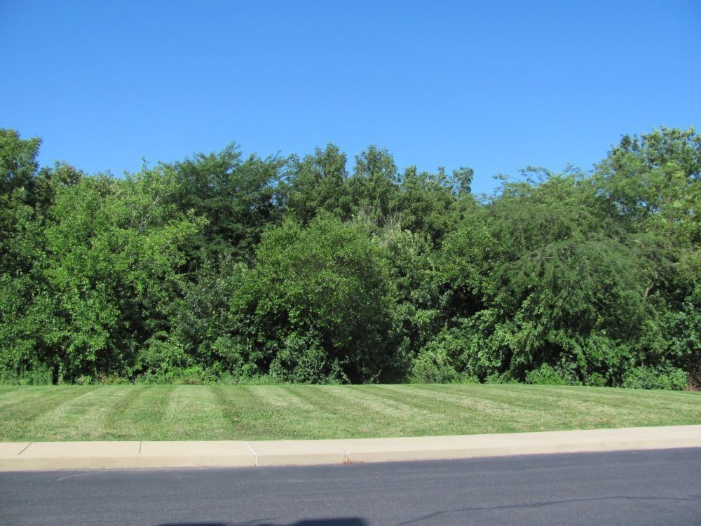 Apex Pro Park