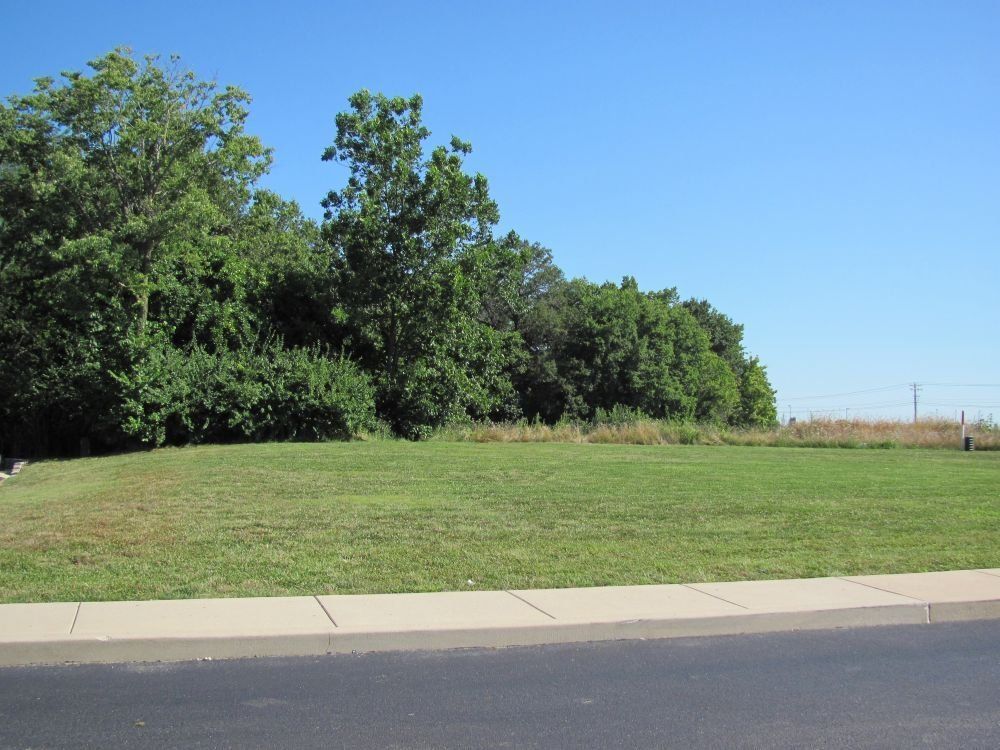 Apex Pro Park