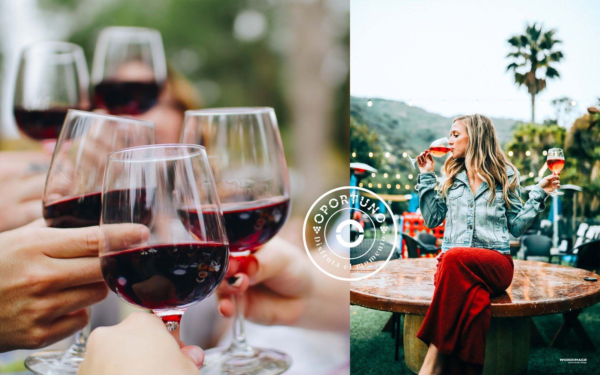 A group of people holding wine glasses and a woman sitting at a table drinking wine.