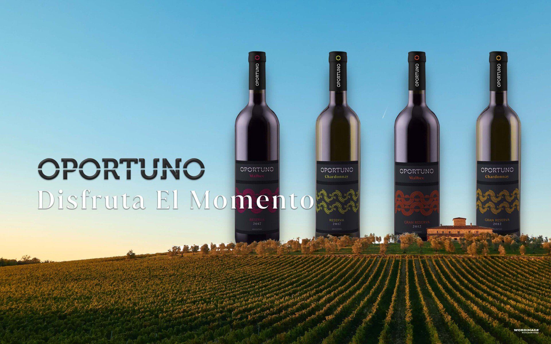 Four bottles of wine are lined up in a vineyard