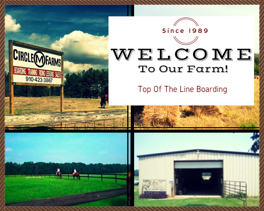 Collage of a horse boarding farm sign, welcome sign, fenced pasture, and barn exterior under blue sky