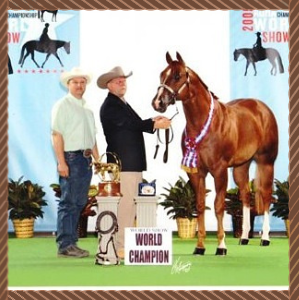 Two people with a champion horse on a show podium, trophy and “World Champion” sign.