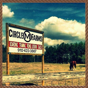 Circle M Farms sign in a grassy field with a horse grazing nearby under cloudy skies
