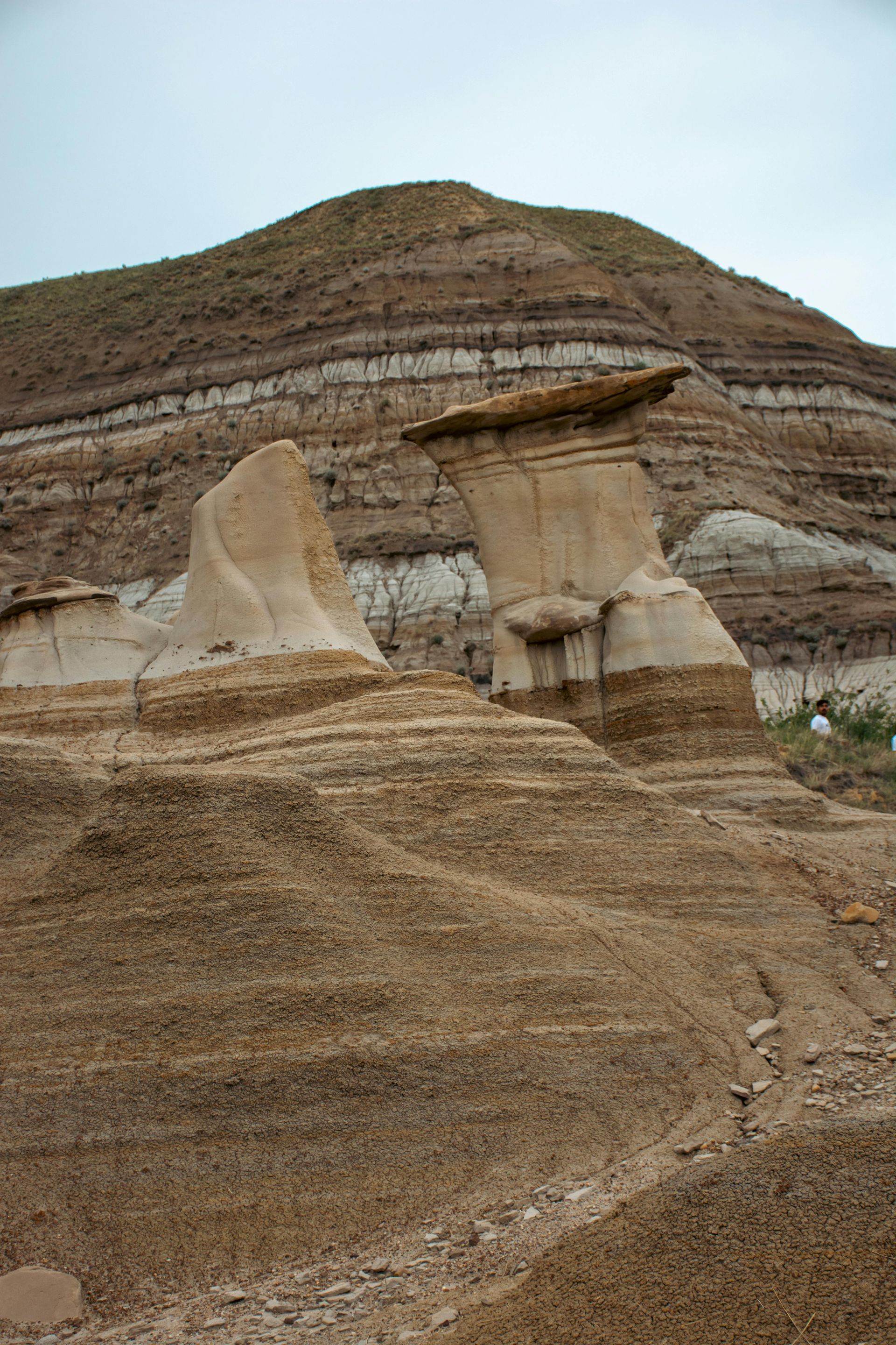 A Day of Roaming Alberta's Prairies and Badlands