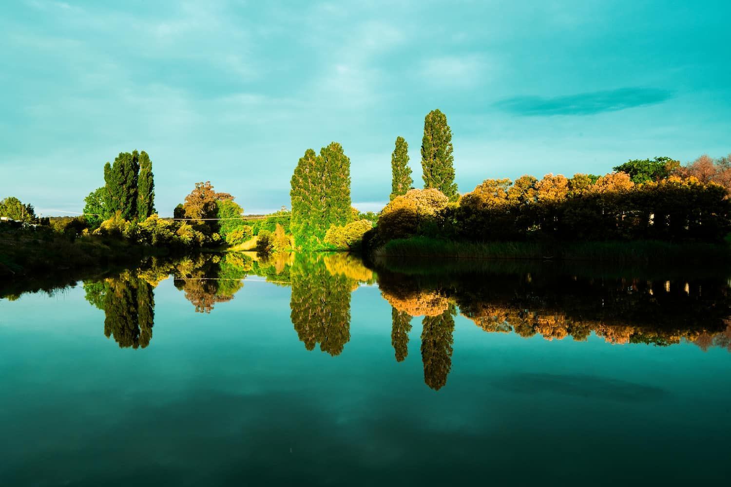 Scenic Queanbeyan River Framed by Lush Trees — Electrical Services in Queanbeyan, NSW