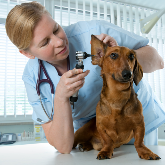 Preventitive Car﻿e