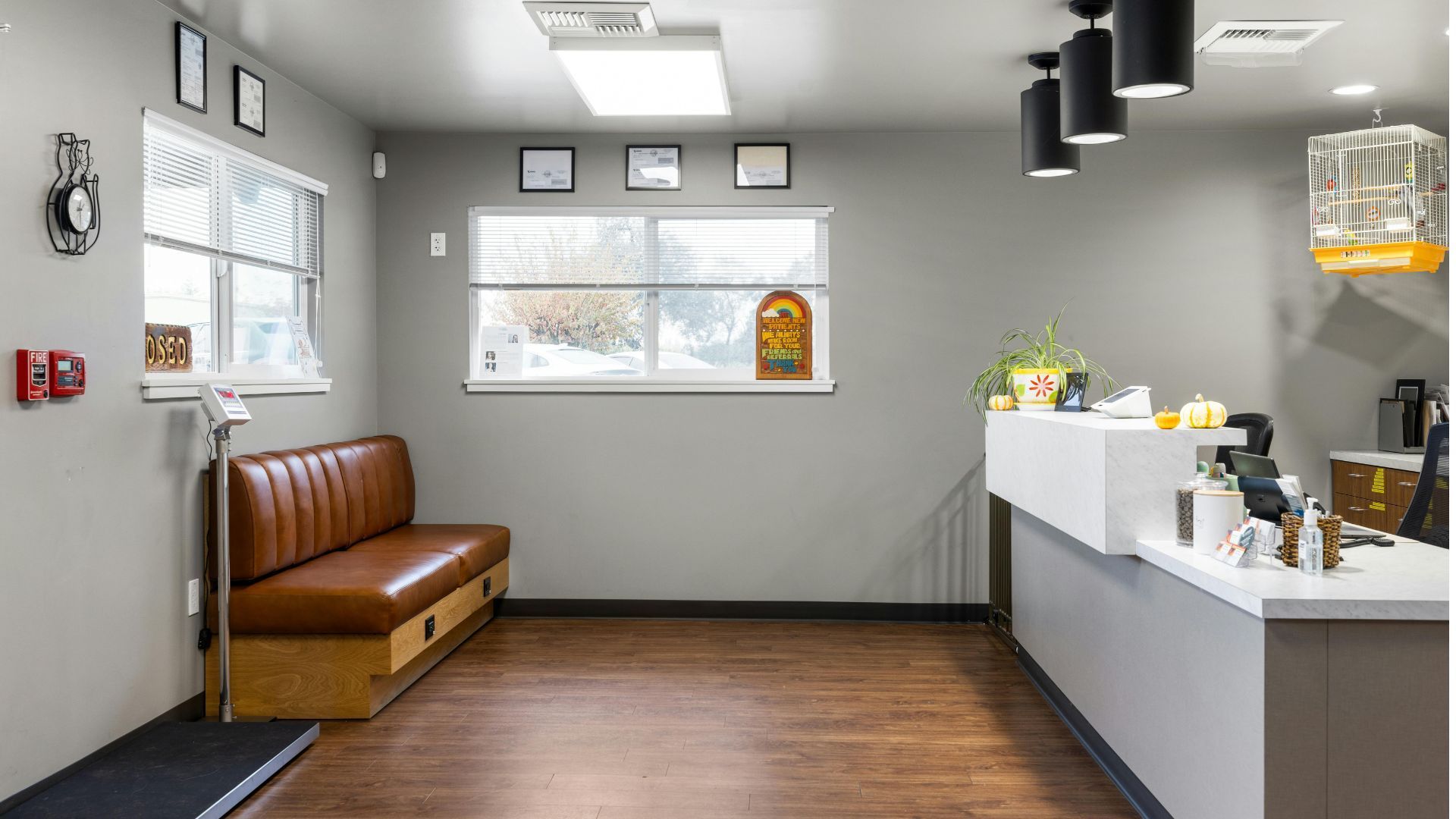 Bright waiting room with brown bench, white reception desk, gray walls, and wood flooring