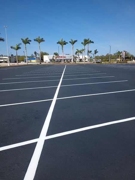 An empty parking lot with palm trees in the background