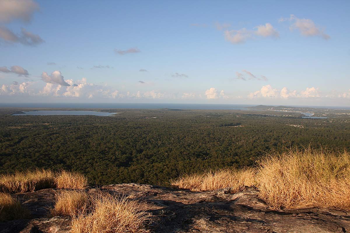 A Large Stone Tower Is Surrounded by Trees and A Fence — CK's Milling & Earthworks in Cooroy, QLD