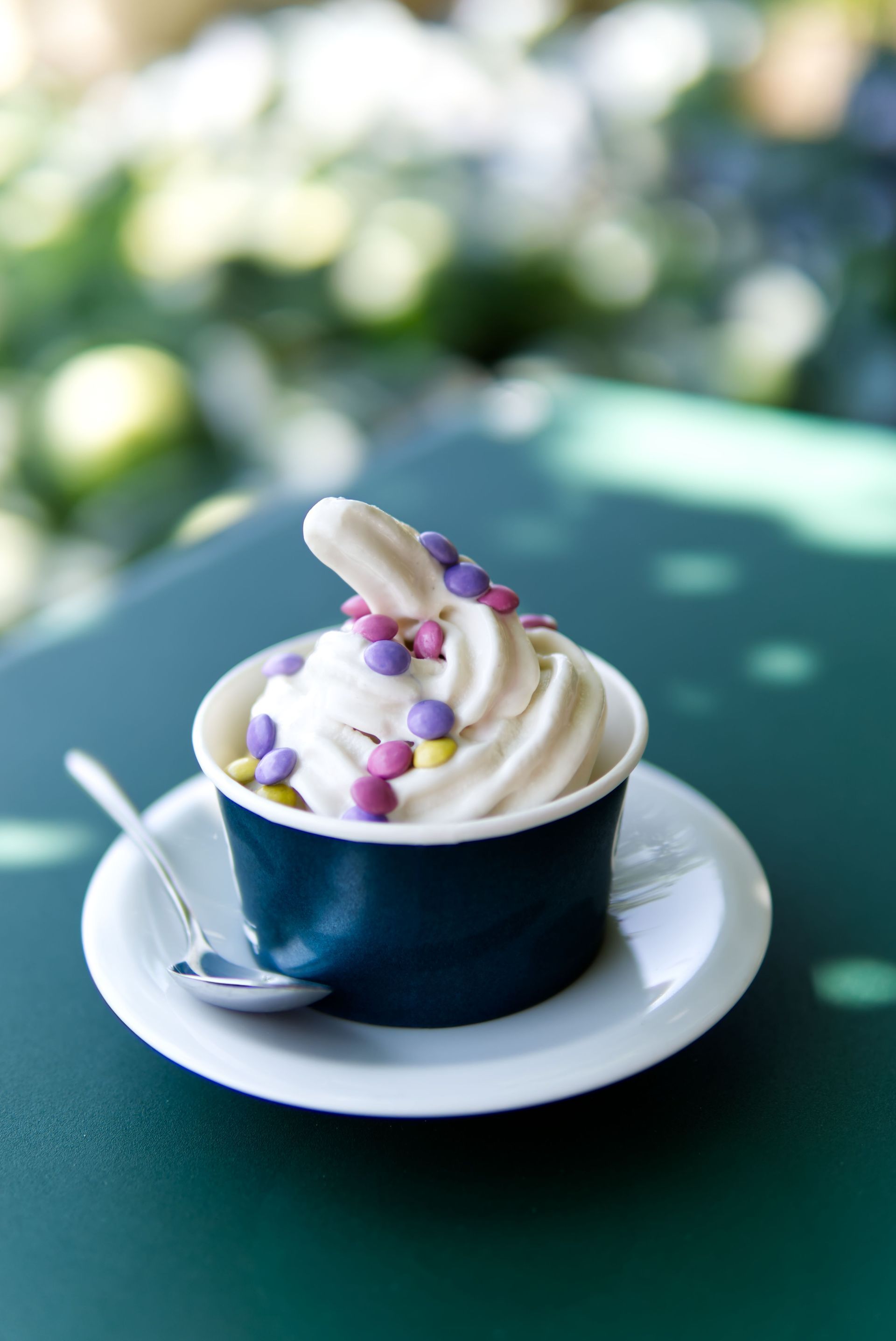 Seniors Frozen Yogurt Day