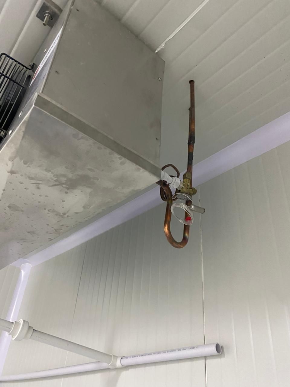 Arnés de seguridad montado en el techo, colgando cerca de una viga de hormigón en un interior industrial.