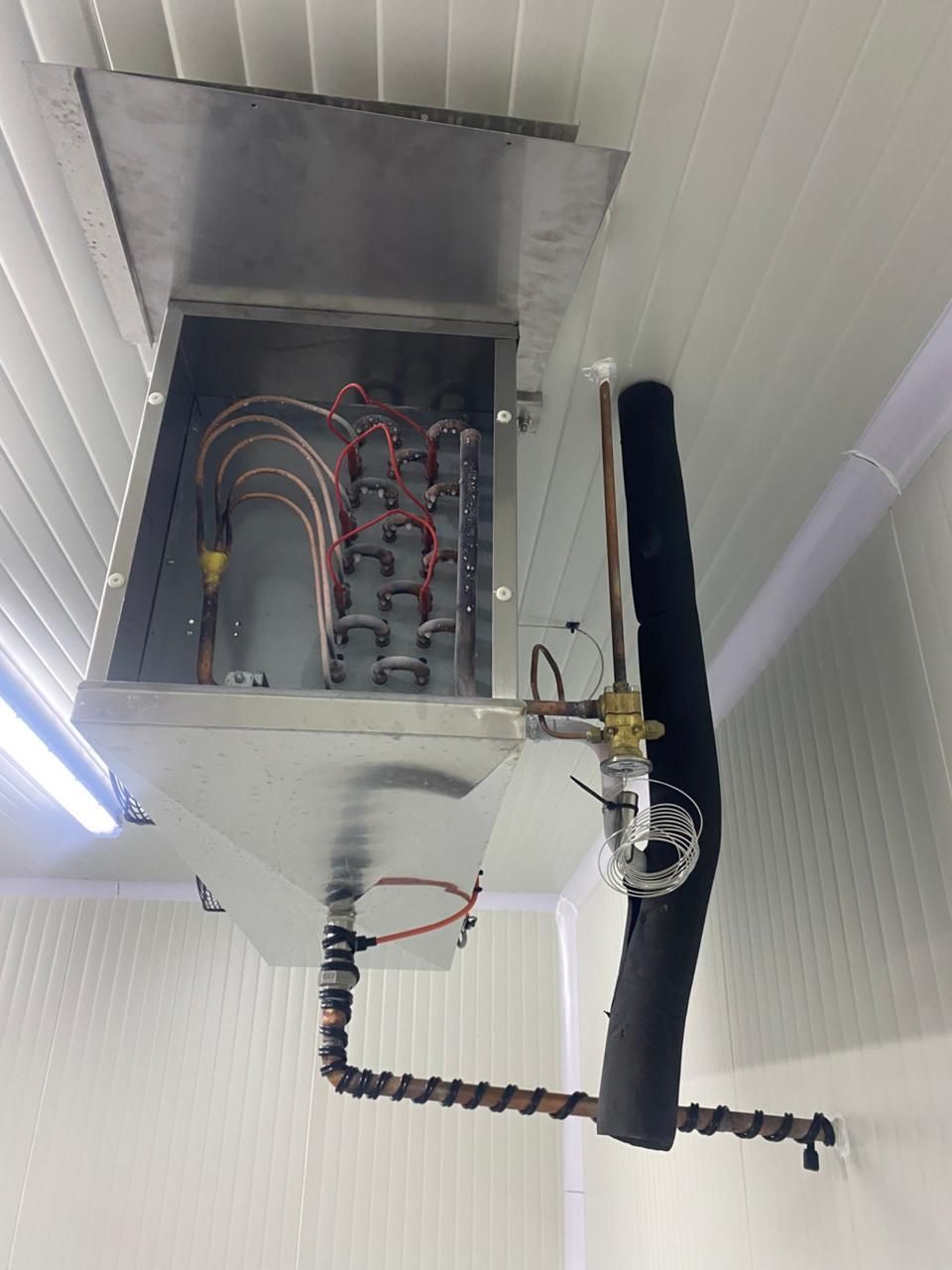 Panel eléctrico abierto con cableado y cables expuestos montado sobre un techo blanco.