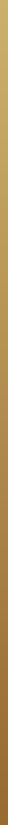 A thin vertical black and brown striped bar on a dark background.