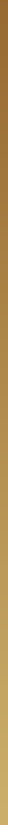 Dark brown vertical stripe against a black background