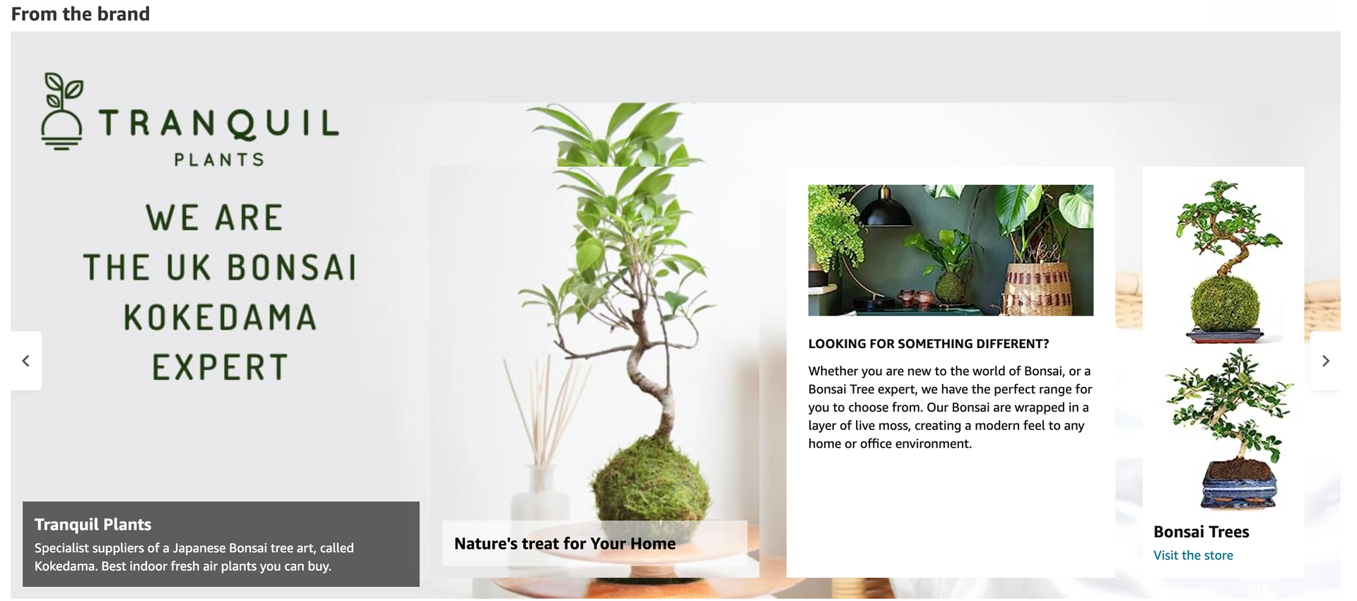 Tranquil Plants banner featuring bonsai kokedama, promotional text, and plant photos.