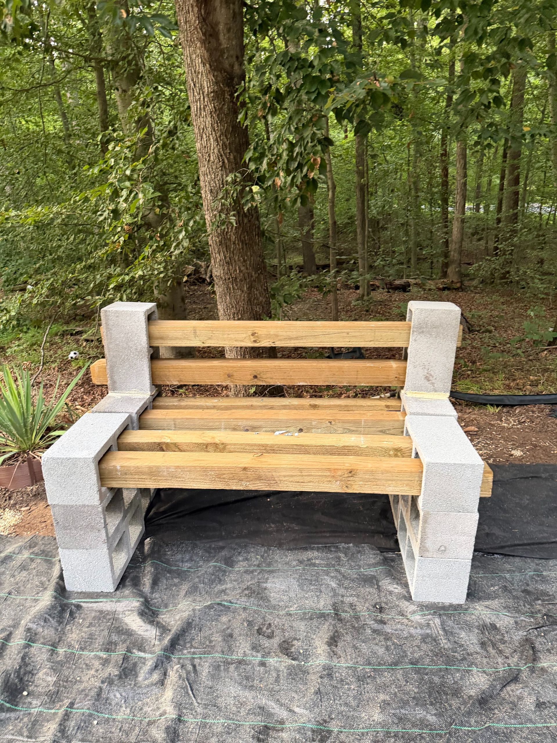 Wooden bench with stone armrests on a paved path in a wooded park area