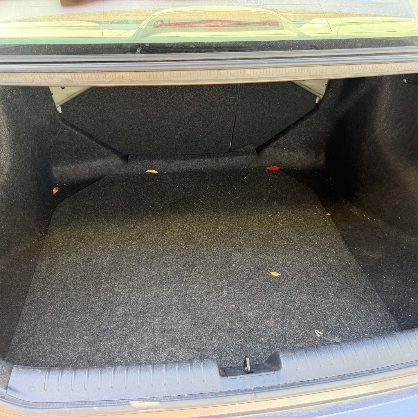 Empty car trunk with black carpet lining and a few small leaves inside.